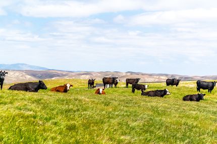 Land for sale in San Luis Obispo County, California