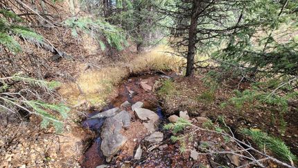 Farm and Ranch for sale in Teller County, Colorado