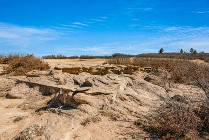 Undeveloped Land for sale in Douglas County, Colorado