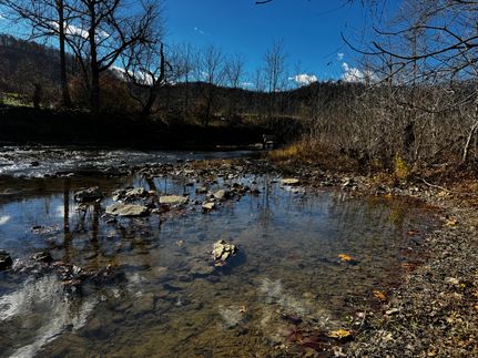 Undeveloped Land for sale in Belmont County, Ohio