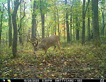 Farm and Ranch for sale in Franklin County, Illinois