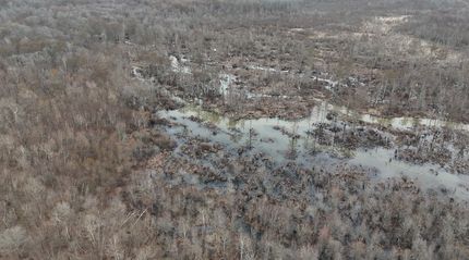 Land for sale in Benton County, Mississippi
