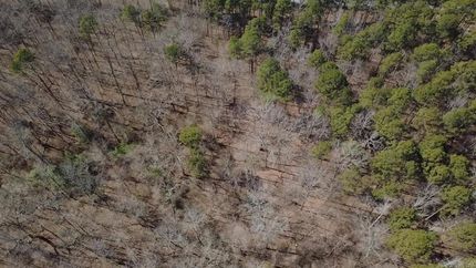 Farm and Ranch for sale in Polk County, Arkansas