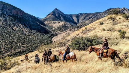 Timberland Property for sale in Cochise County, Arizona