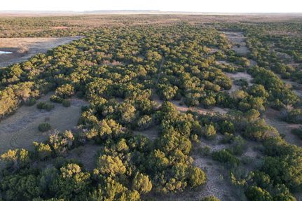 Recreational Property for sale in Taylor County, Texas