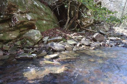 Timberland Property in Le Flore County, Oklahoma