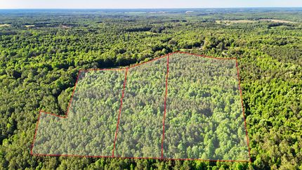 Land for sale in Carroll County, Tennessee
