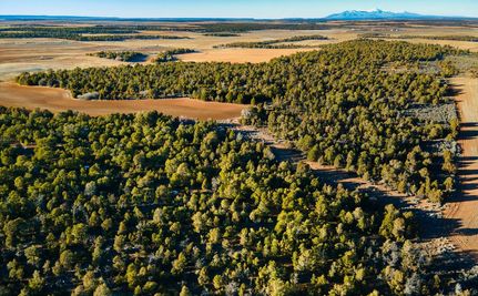 Hunting Property for sale in San Juan County, Utah