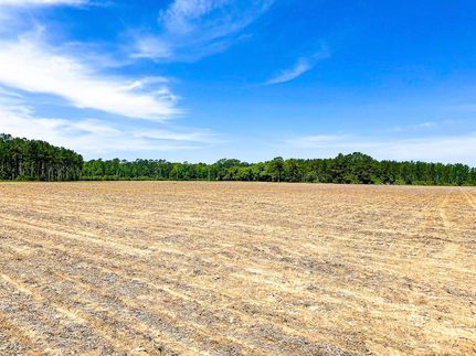 Farm and Ranch for sale in Florence County, South Carolina
