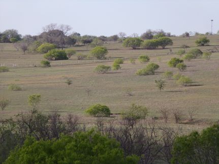 Land for sale in Fayette County, Texas