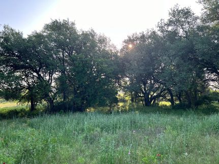 Undeveloped Land for sale in Comanche County, Texas