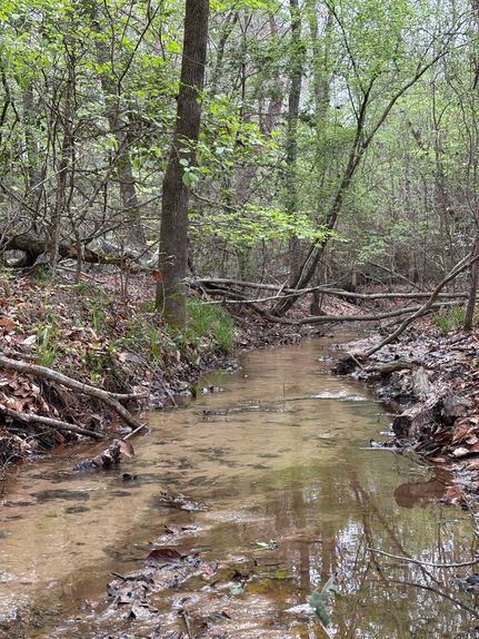 Timberland Property for sale in Shelby County, Texas