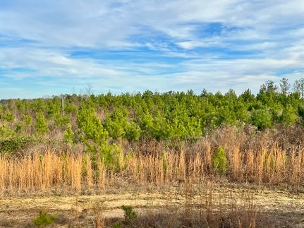 Land for sale in Tuscaloosa County, Alabama