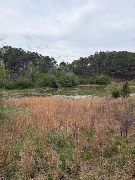 Recreational Property for sale in Bibb County, Alabama