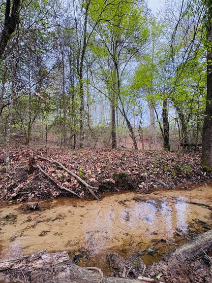 Farm and Ranch for sale in Shelby County, Texas