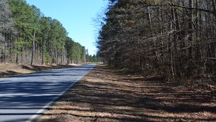 Land for sale in Laurens County, Georgia