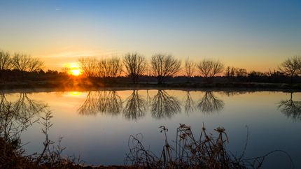Farm and Ranch for sale in Houston County, Texas