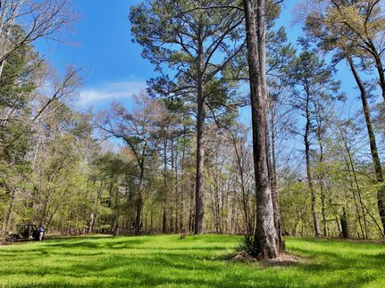 Recreational Property for sale in Dallas County, Alabama