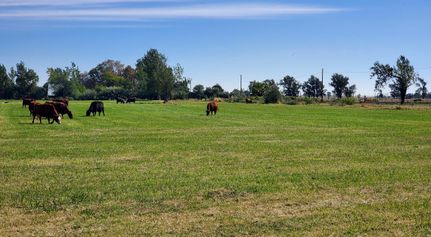 Farm and Ranch for sale in Morrow County, Oregon