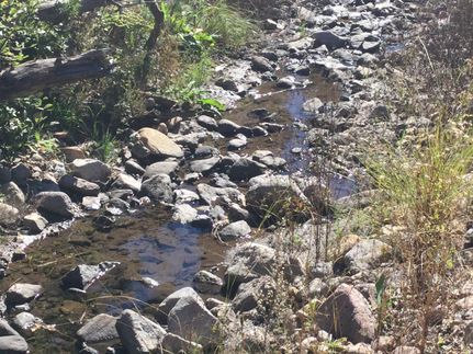 Farm and Ranch for sale in Lincoln County, New Mexico