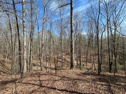 Timberland Property for sale in Fayette County, Alabama