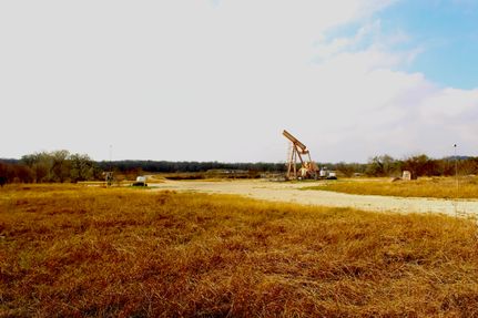 Undeveloped Land for sale in Gonzales County, Texas