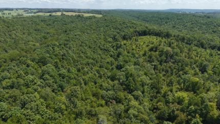 Timberland Property for sale in Sevier County, Arkansas