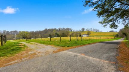 Timberland Property for sale in Marshall County, Tennessee