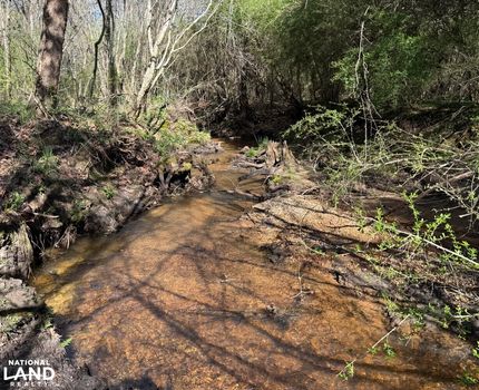 Farm and Ranch for sale in Henry County, Alabama