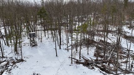 Farm and Ranch for sale in Clare County, Michigan