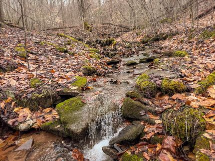 Farm and Ranch for sale in Preston County, West Virginia
