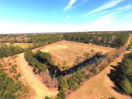 Recreational Property for sale in Columbus County, North Carolina