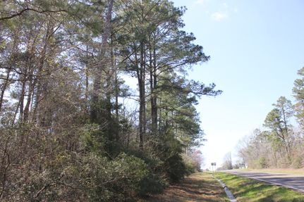 Hunting Property for sale in San Augustine County, Texas