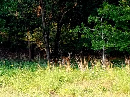 Farm and Ranch for sale in Wilson County, Texas