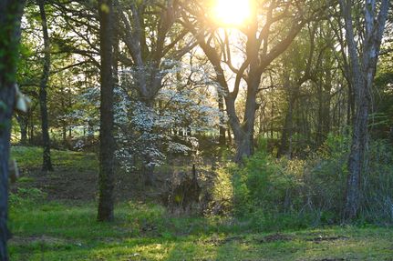 Land for sale in Fannin County, Texas