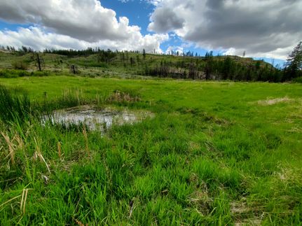 Hunting Property for sale in Okanogan County, Washington