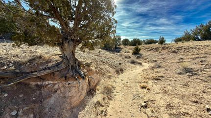 Timberland Property for sale in Sandoval County, New Mexico
