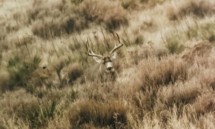 Farm and Ranch for sale in Prowers County, Colorado