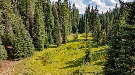 Farm and Ranch for sale in Valley County, Idaho