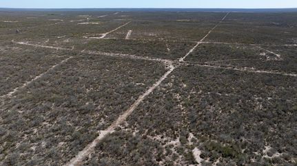 Timberland Property for sale in Duval County, Texas