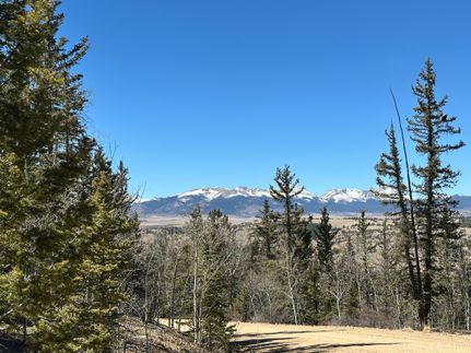 Undeveloped Land for sale in Park County, Colorado