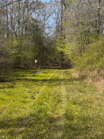 Farm and Ranch for sale in Claiborne Parish, Louisiana