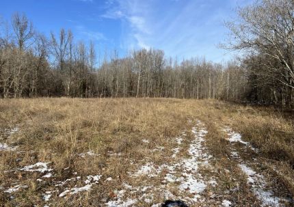 Commercial Property for sale in Union County, Illinois