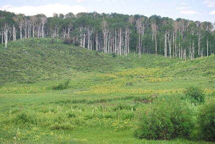 Farm and Ranch for sale in Moffat County, Colorado