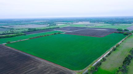 Farm and Ranch for sale in Fannin County, Texas