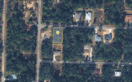 Timberland Property for sale in Levy County, Florida