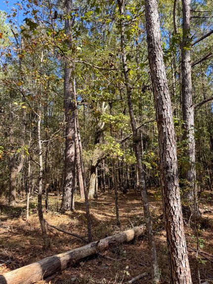 Farm and Ranch for sale in Calhoun County, Arkansas