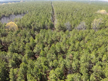 Land for sale in Drew County, Arkansas