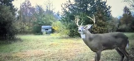 Land in Wayne County, Michigan