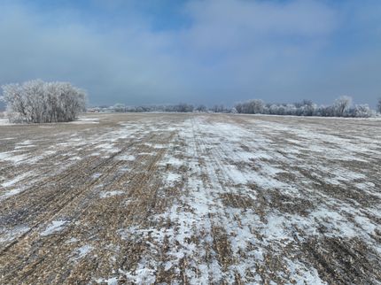 Farm and Ranch for sale in Grand Forks County, North Dakota